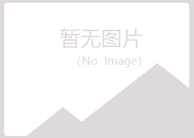 白银平川问雁造纸有限公司